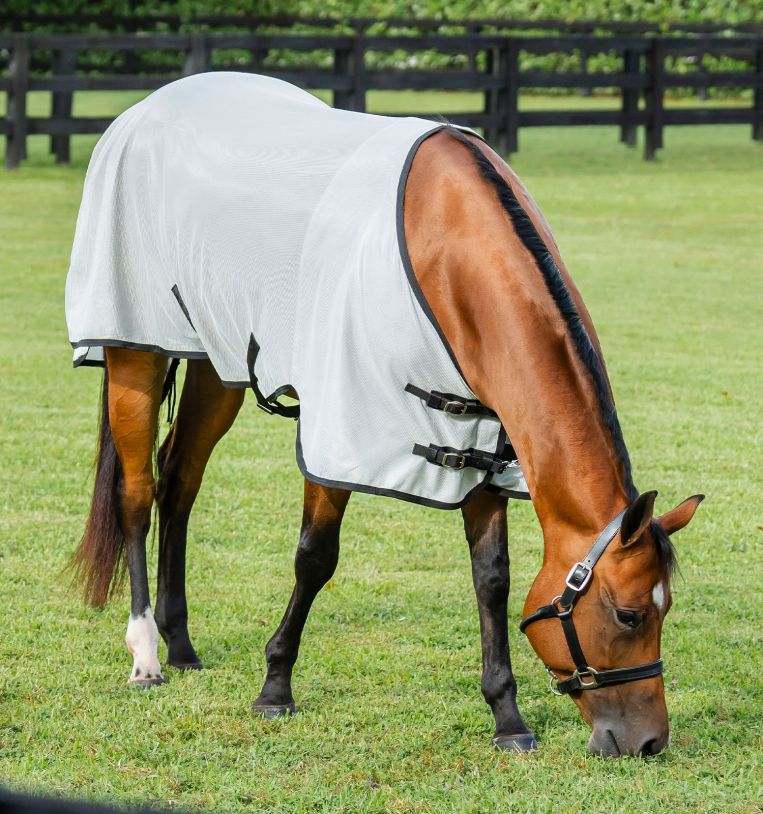 Amigo® Bug Rug Quarter Horse Fly Sheet - Horseware Ireland - Equiluxe Tack