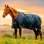 Amigo® Ripstop 900D Fleece Lined Turnout 50g - Horseware Ireland - Equiluxe Tack