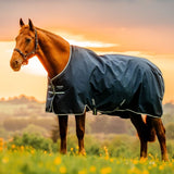 Amigo® Ripstop 900D Fleece Lined Turnout 50g - Horseware Ireland - Equiluxe Tack