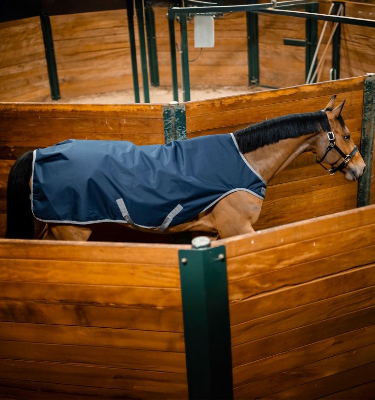 Amigo® Ripstop 900D Walker Rug 100g - Horseware Ireland - Equiluxe Tack