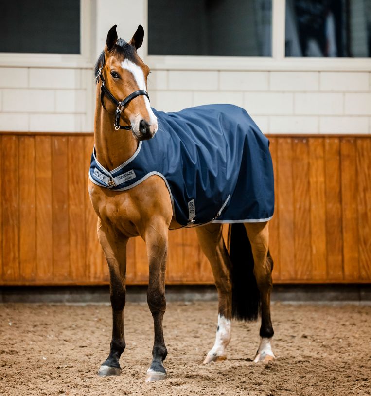 Amigo® Ripstop 900D Walker Rug 100g - Horseware Ireland - Equiluxe Tack
