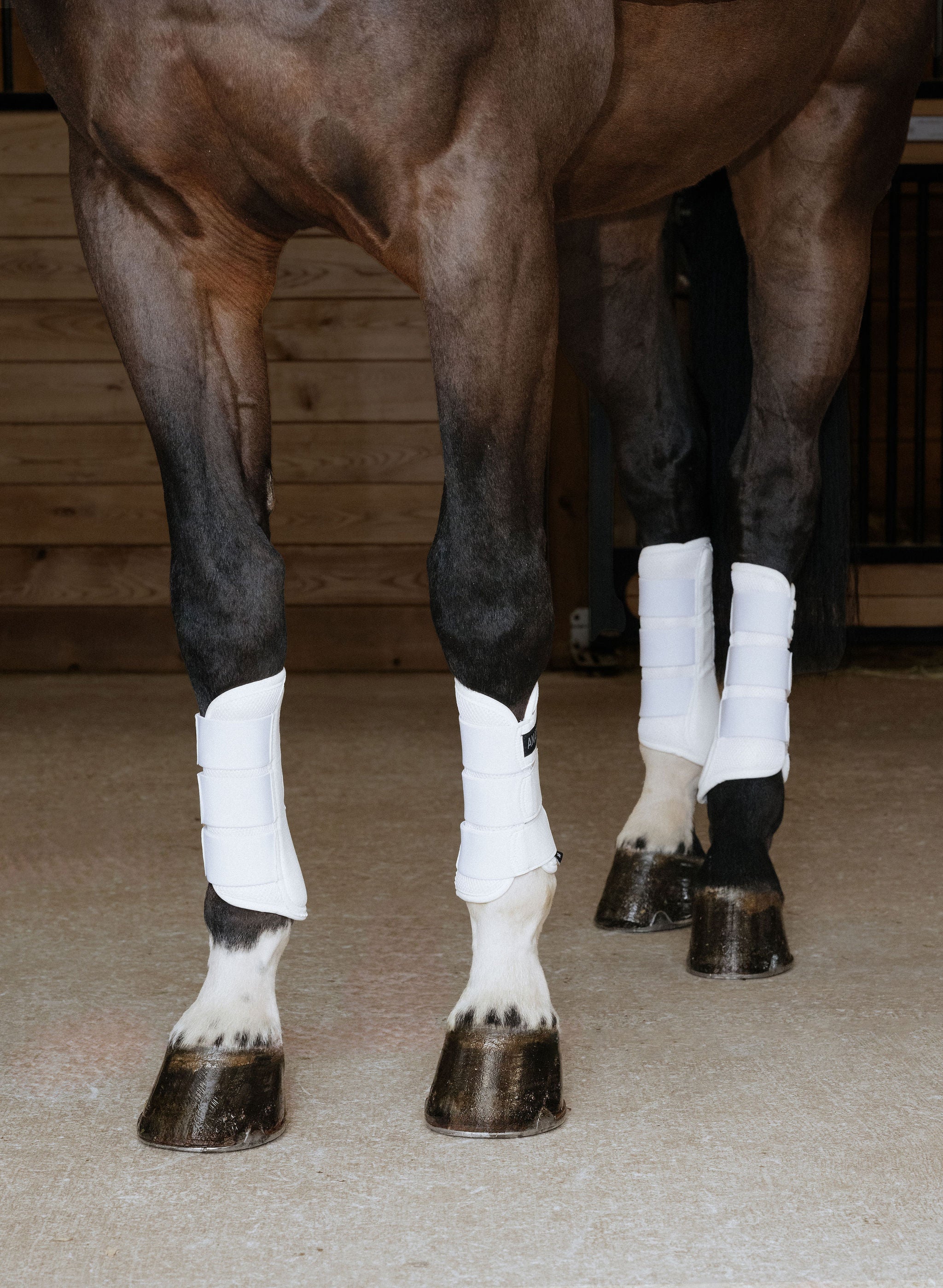 Anatomeq AirGuard Brush Boots - Ultra Air Flow & Comfort - Anatomeq - Equiluxe Tack
