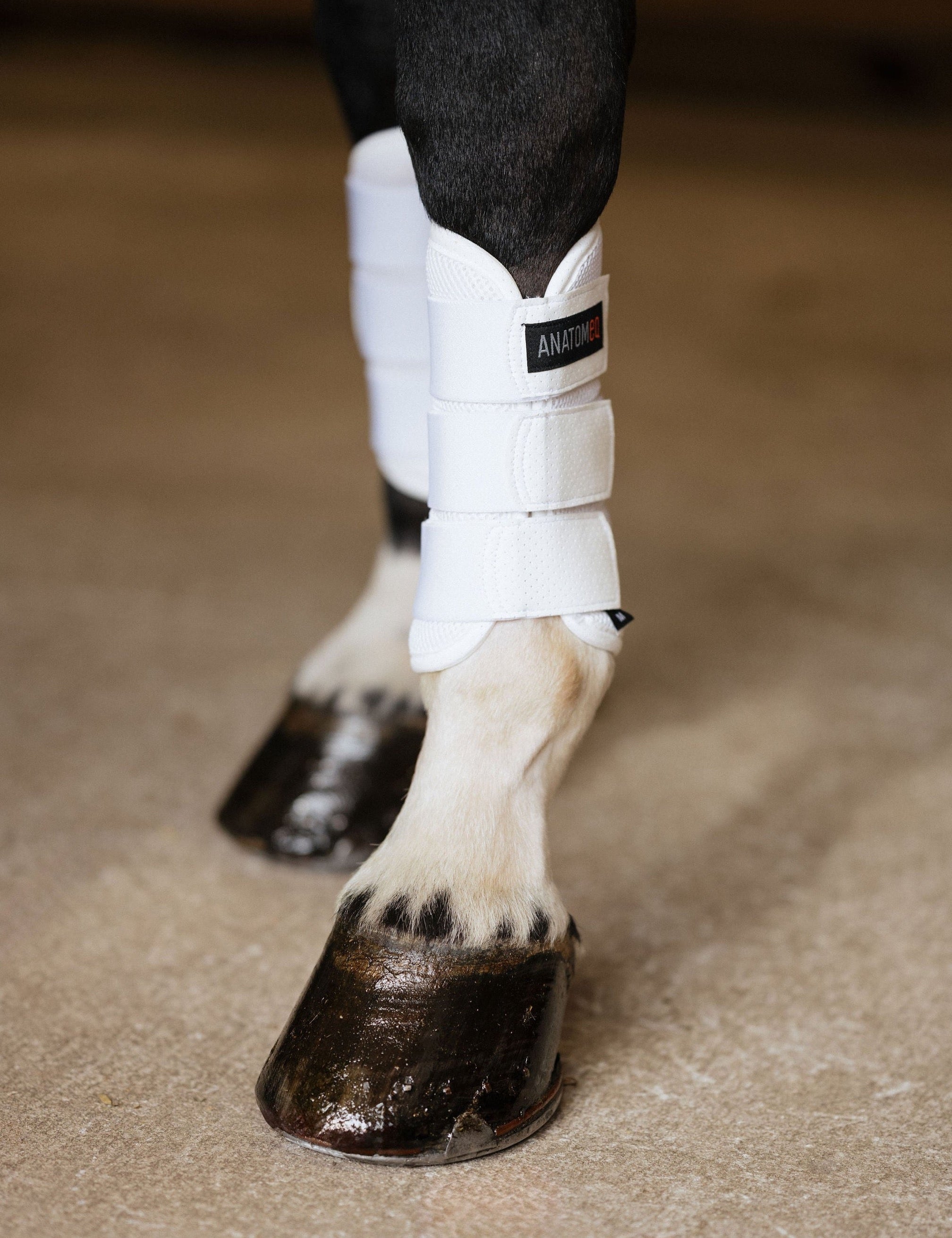 Anatomeq AirGuard Brush Boots - Ultra Air Flow & Comfort - Anatomeq - Equiluxe Tack