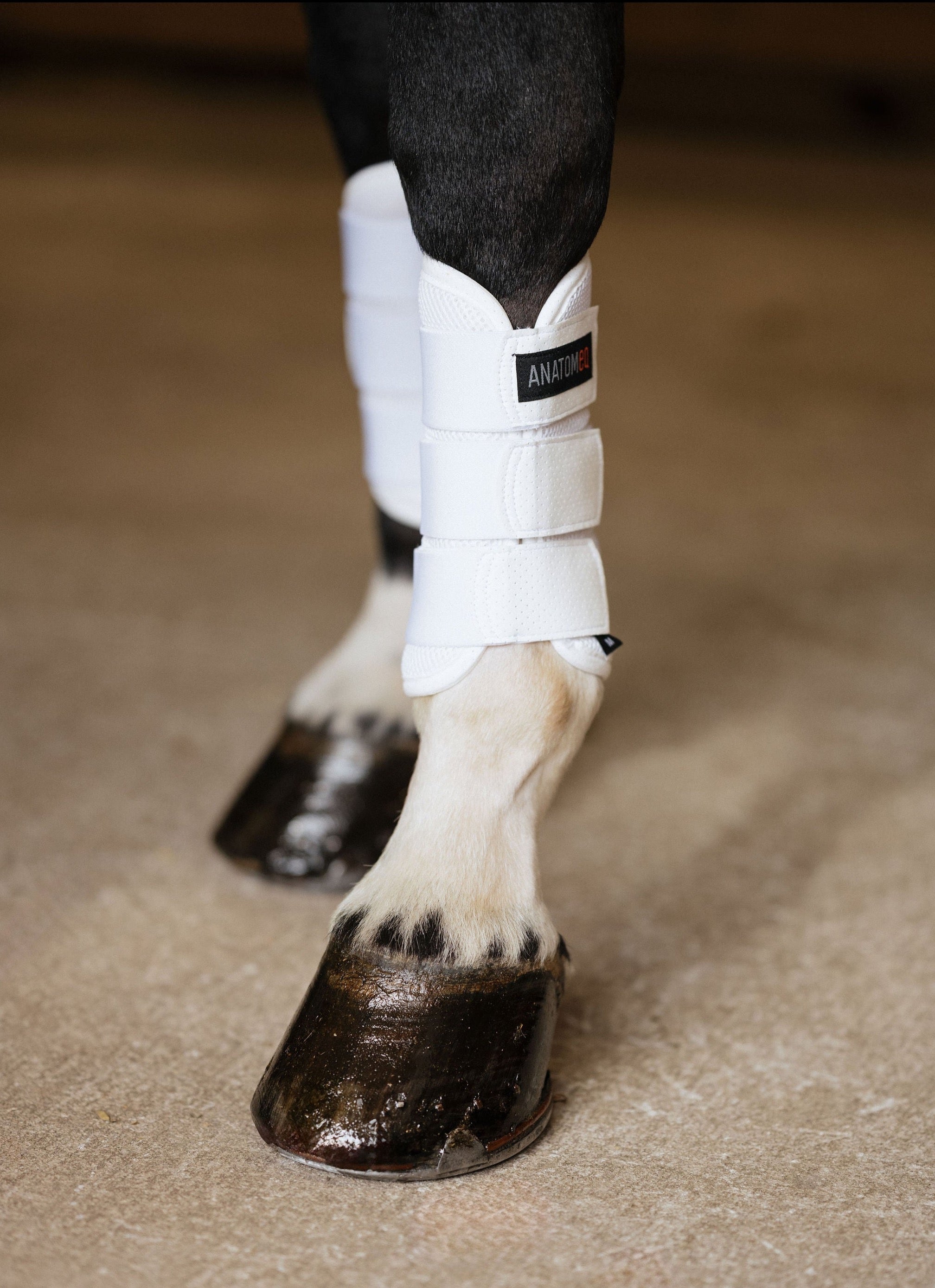 Anatomeq AirGuard Brush Boots - Ultra Air Flow & Comfort - Anatomeq - Equiluxe Tack