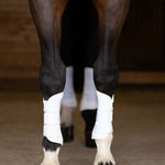 Anatomeq AirGuard Brush Boots - Ultra Air Flow & Comfort - Anatomeq - Equiluxe Tack