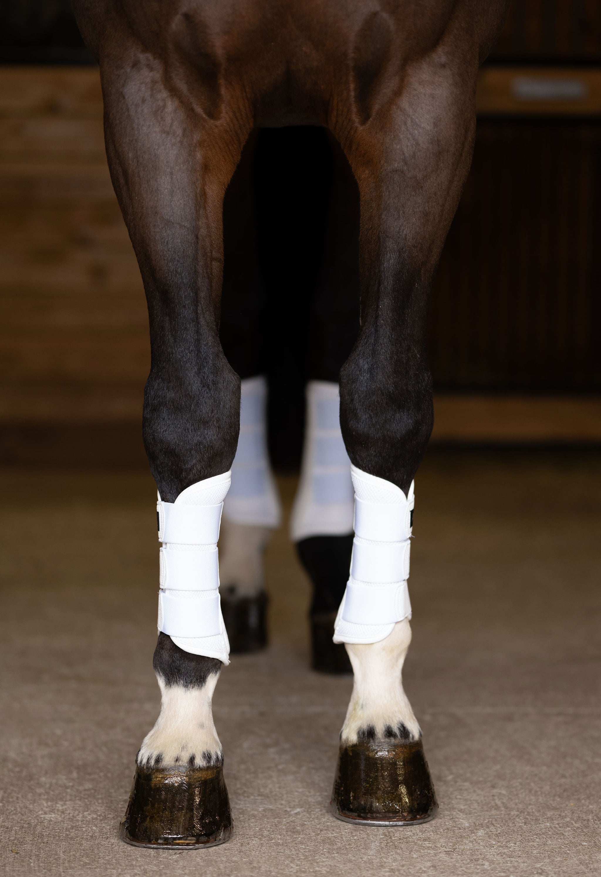 Anatomeq AirGuard Brush Boots - Ultra Air Flow & Comfort - Anatomeq - Equiluxe Tack