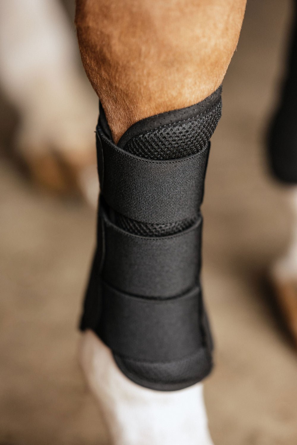 Anatomeq AirGuard Brush Boots - Ultra Air Flow & Comfort - Anatomeq - Equiluxe Tack