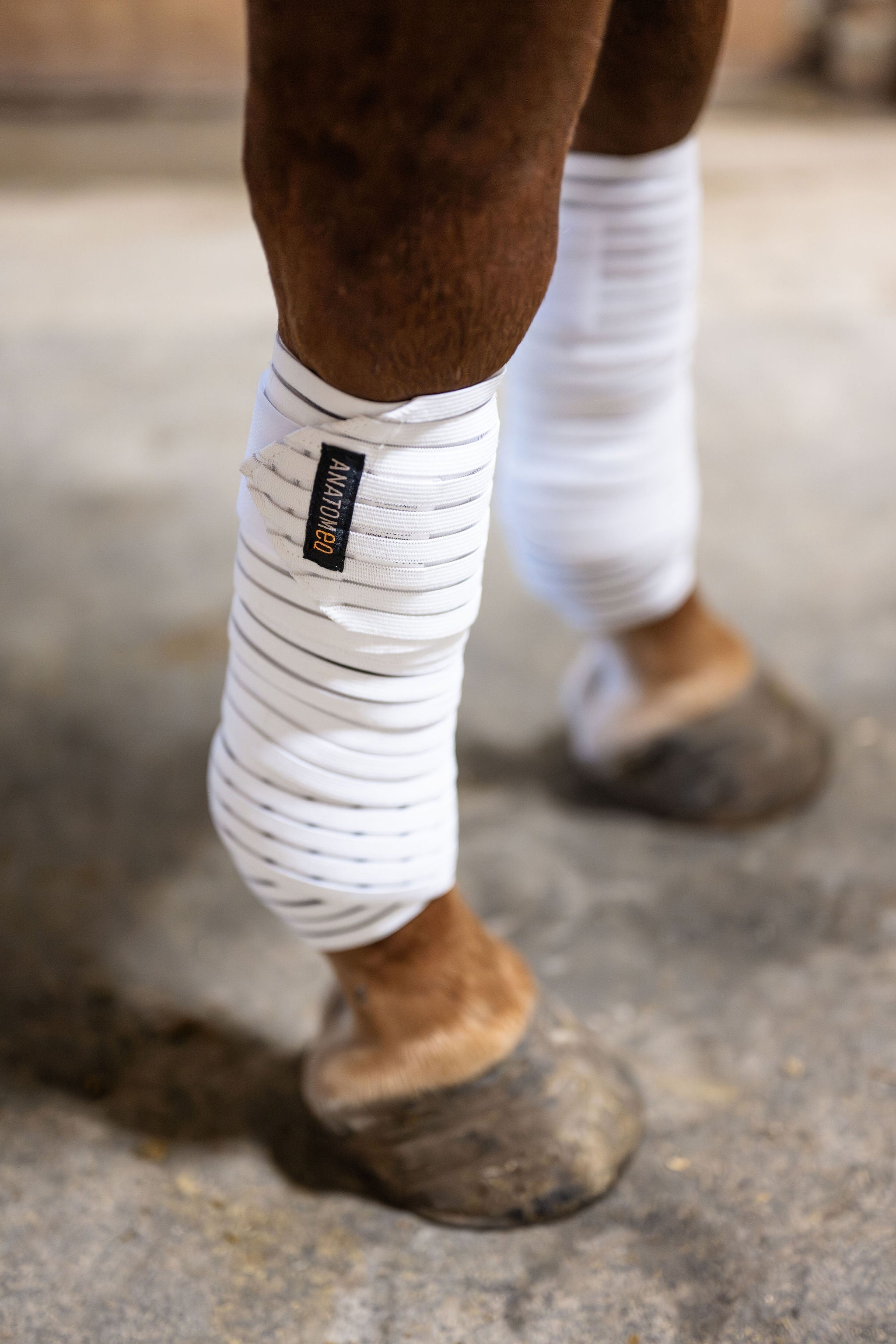 Anatomeq CoolSupport Combi Polos - Anatomeq - Equiluxe Tack