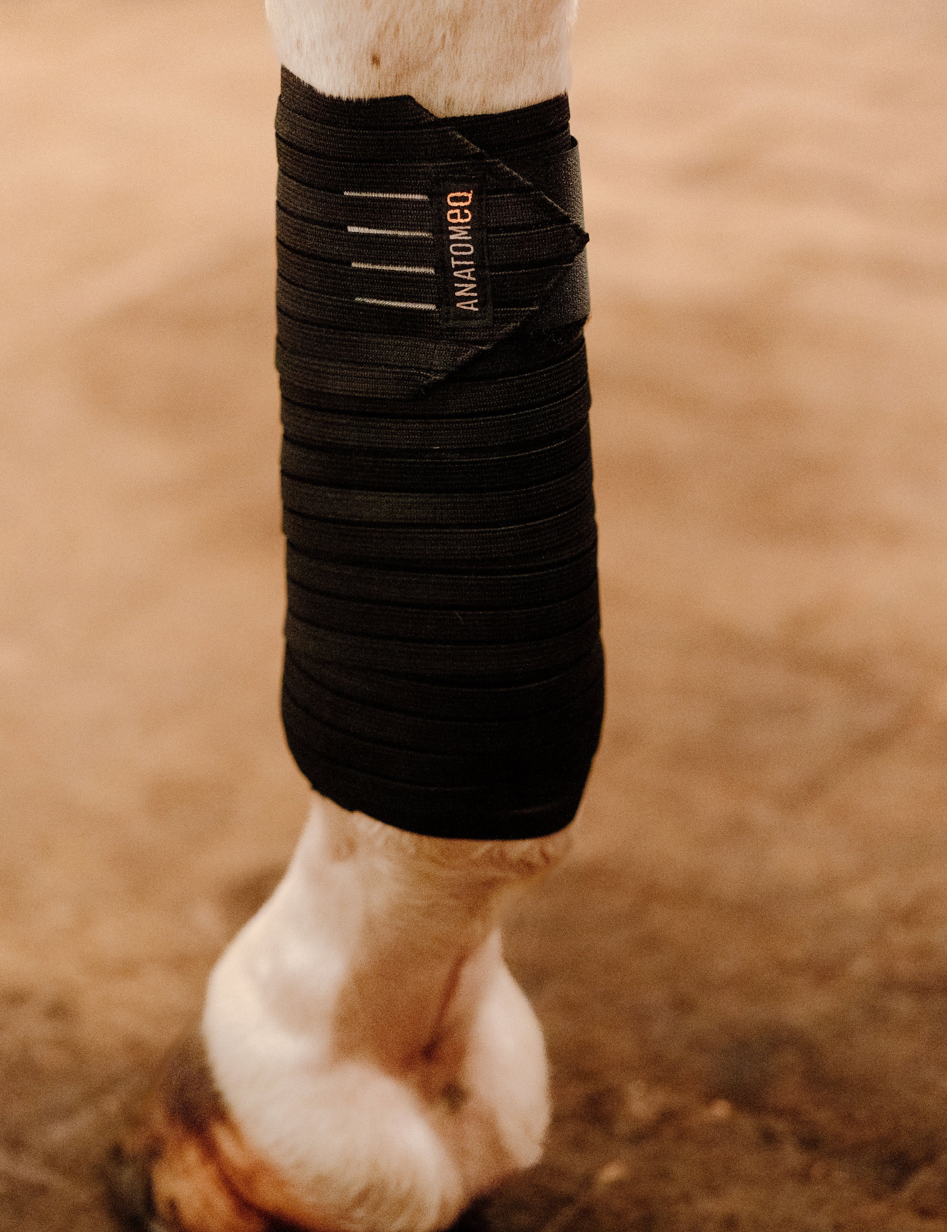 Anatomeq CoolSupport Combi Polos - Anatomeq - Equiluxe Tack