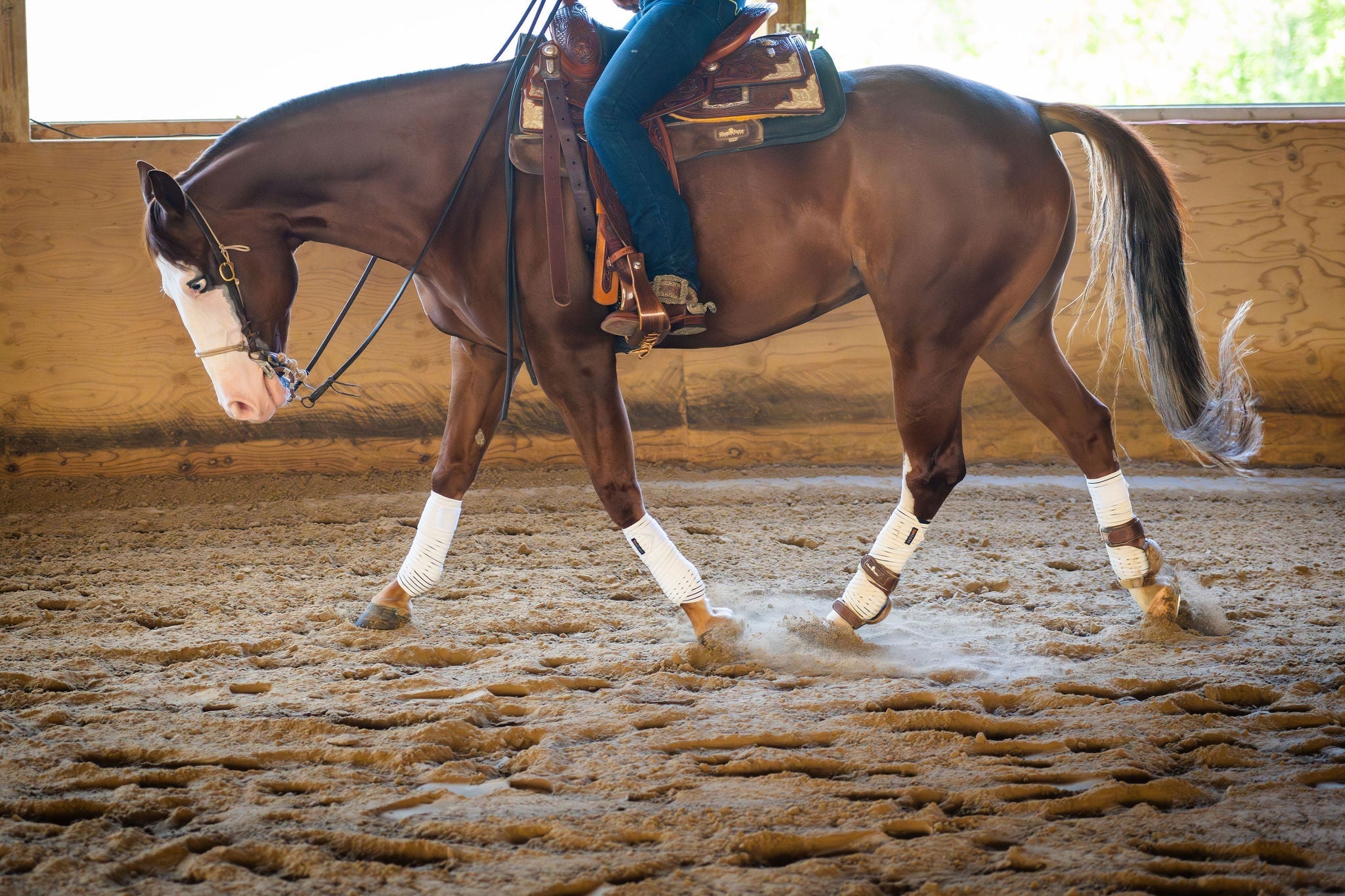 Anatomeq CoolSupport Combi Polos - Anatomeq - Equiluxe Tack