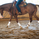 Anatomeq CoolSupport Combi Polos - Anatomeq - Equiluxe Tack