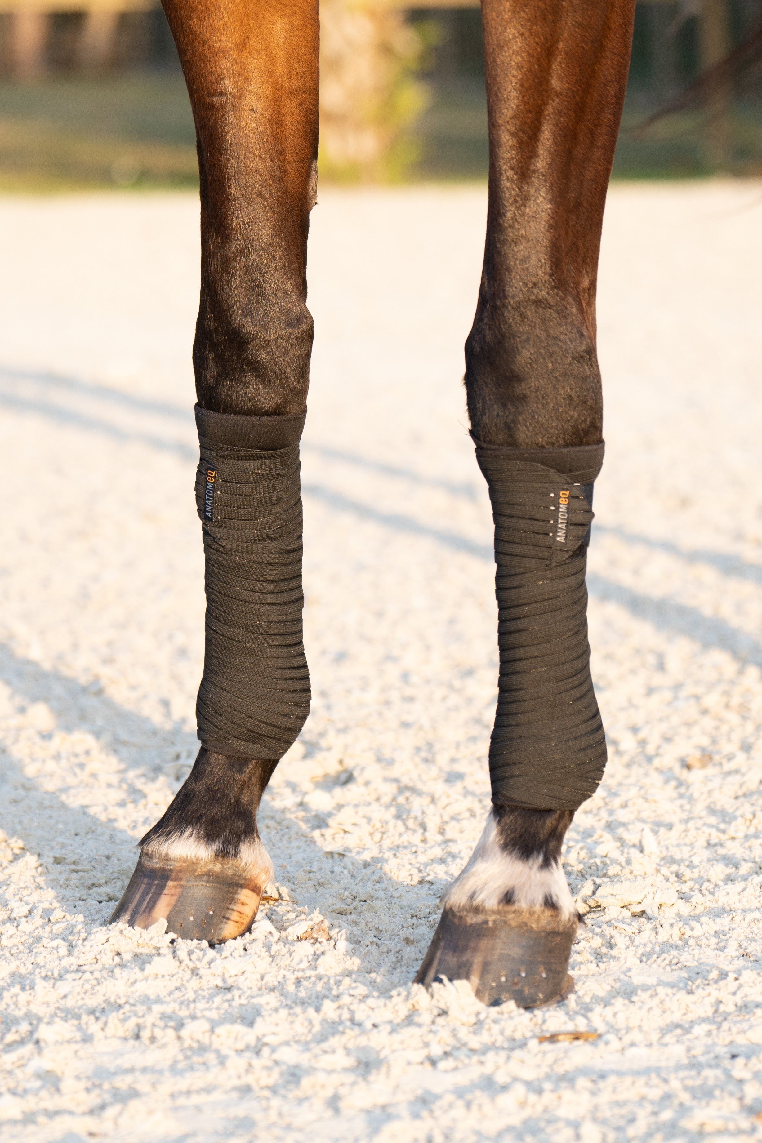 Anatomeq PoloPillows Bandage Liners - Breathable & Dirt Resistant - Anatomeq - Equiluxe Tack