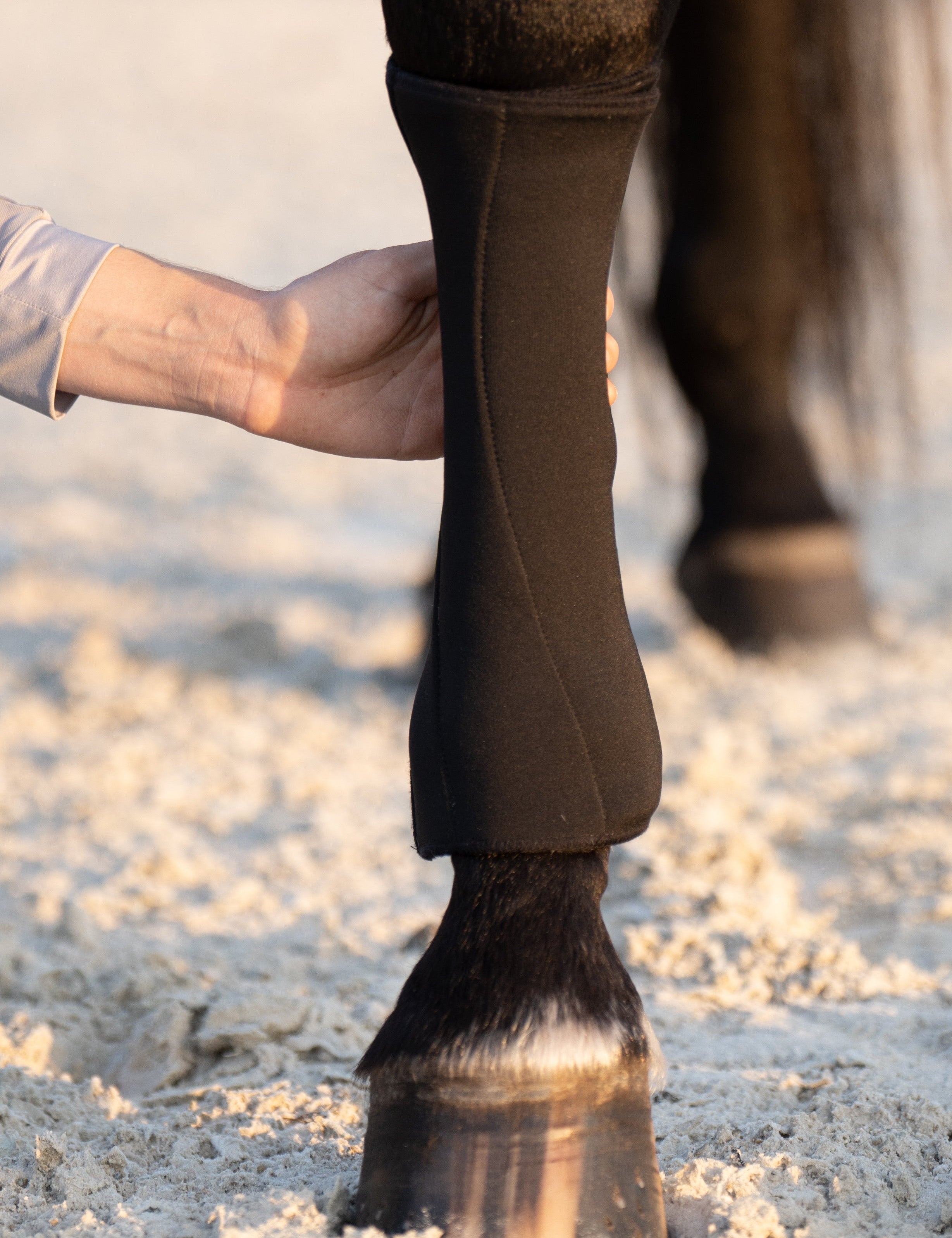 Anatomeq PoloPillows Bandage Liners - Breathable & Dirt Resistant - Anatomeq - Equiluxe Tack