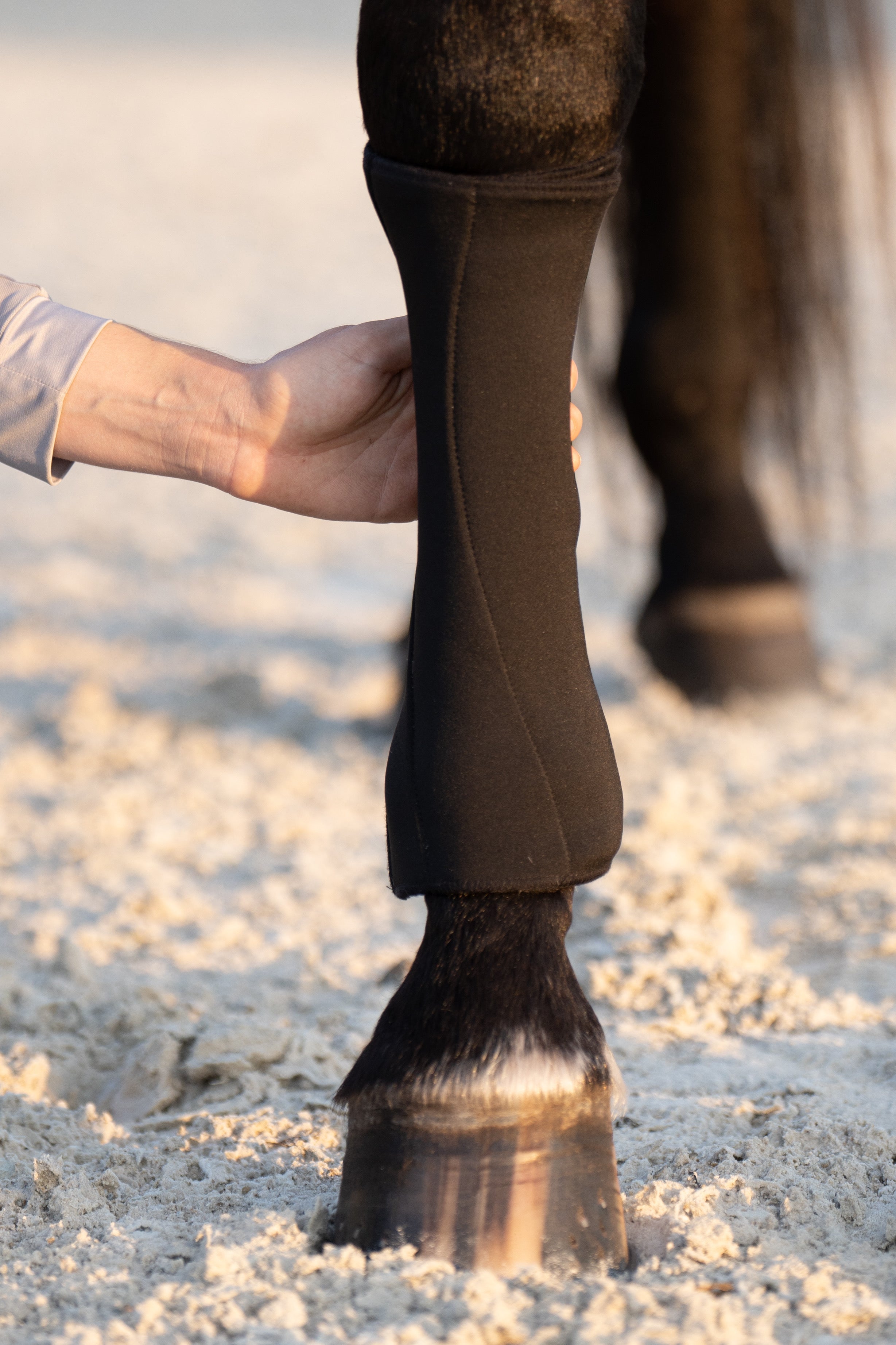 Anatomeq PoloPillows Bandage Liners - Breathable & Dirt Resistant - Anatomeq - Equiluxe Tack