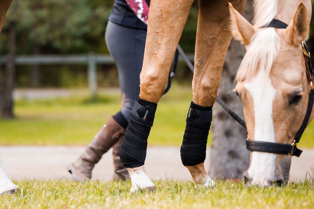 Anatomeq SoftSupport Polos - Anatomeq - Equiluxe Tack