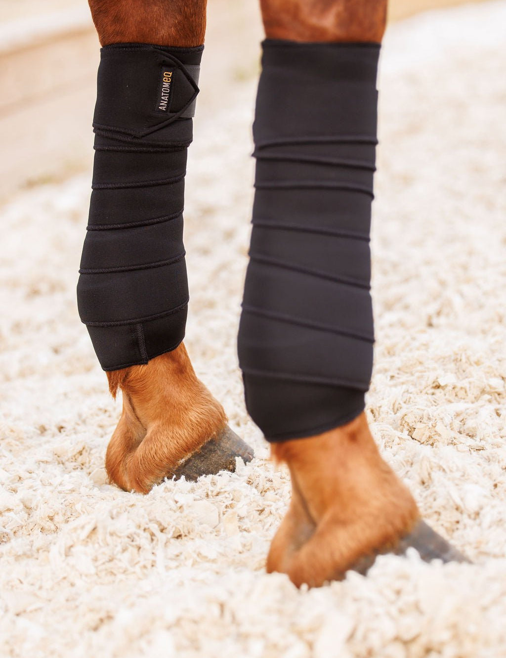 Anatomeq SoftSupport Polos - Anatomeq - Equiluxe Tack