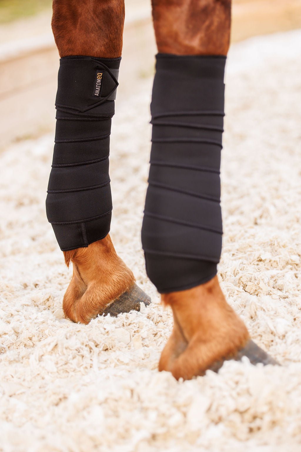 Anatomeq SoftSupport Polos - Anatomeq - Equiluxe Tack