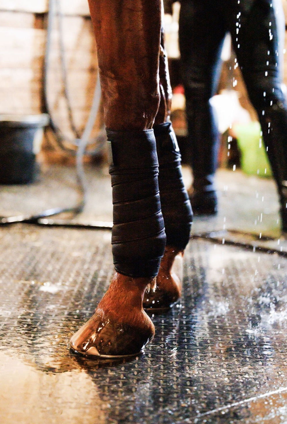 Anatomeq SoftSupport Polos - Anatomeq - Equiluxe Tack