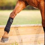 Anatomeq SoftSupport Polos - Anatomeq - Equiluxe Tack