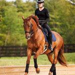 Anatomeq SoftSupport Polos - Anatomeq - Equiluxe Tack