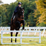 Anatomeq SoftSupport Polos - Anatomeq - Equiluxe Tack