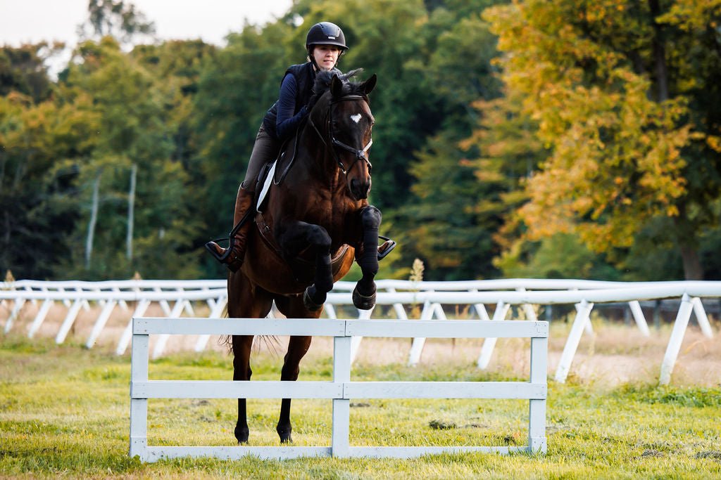 Anatomeq SoftSupport Polos - Anatomeq - Equiluxe Tack