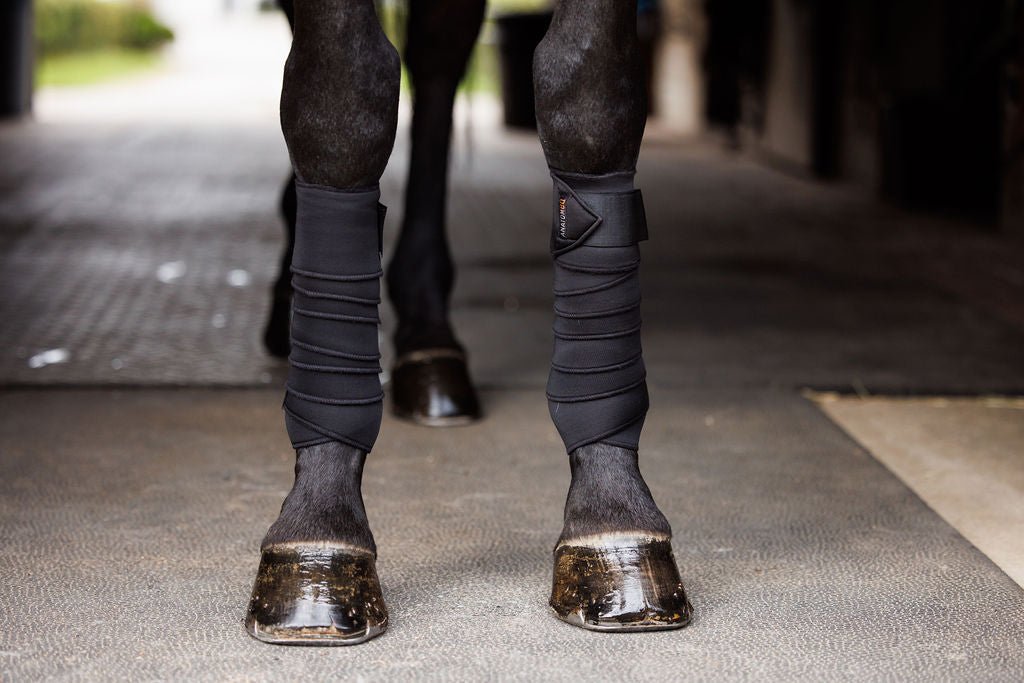 Anatomeq SoftSupport Polos - Anatomeq - Equiluxe Tack