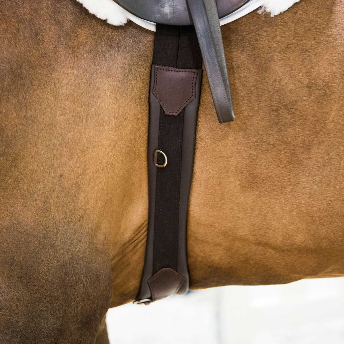 Anatomic Hunter Jumper Girth - Equiluxe Tack - Equiluxe Tack