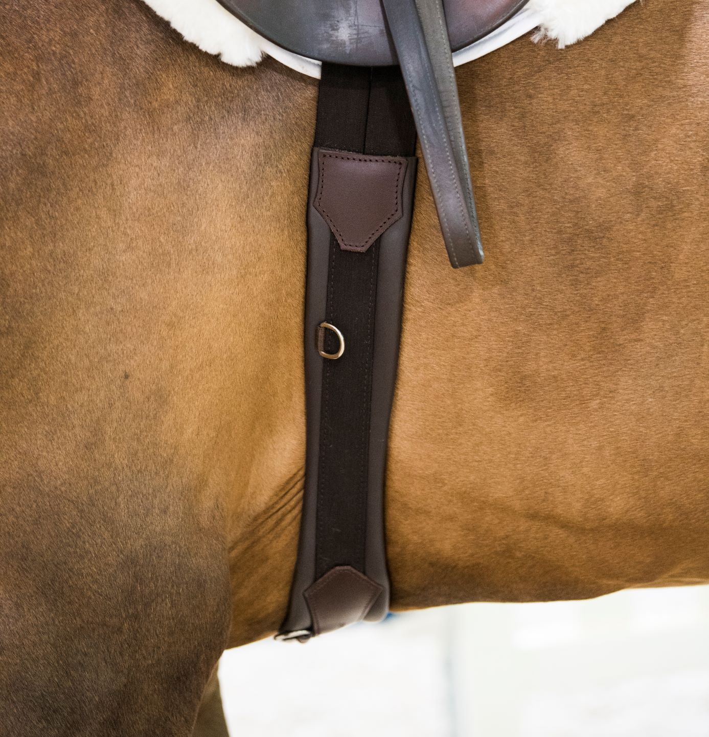 Anatomic Hunter Jumper Girth - Equiluxe Tack - Equiluxe Tack