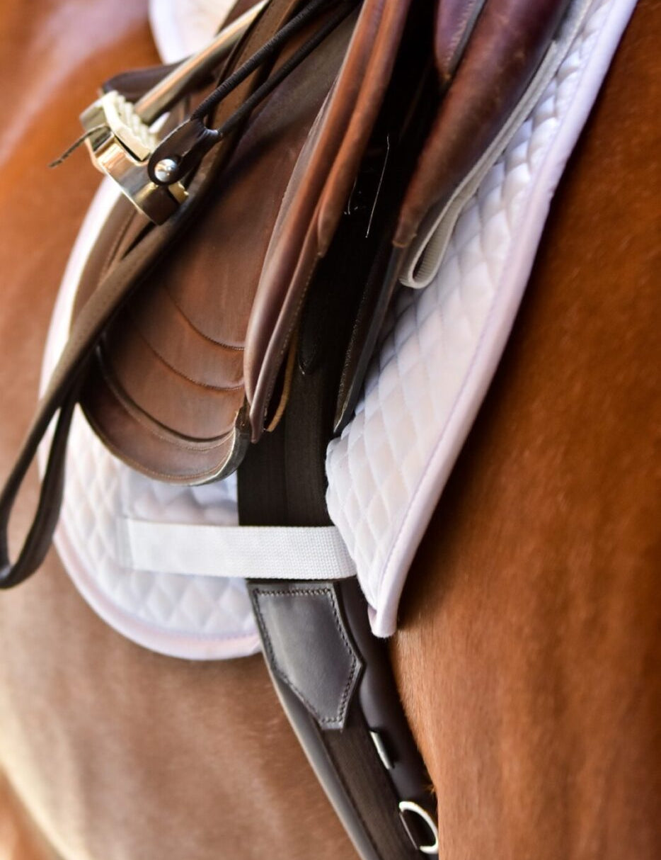 Anatomic Hunter Jumper Girth - Equiluxe Tack - Equiluxe Tack