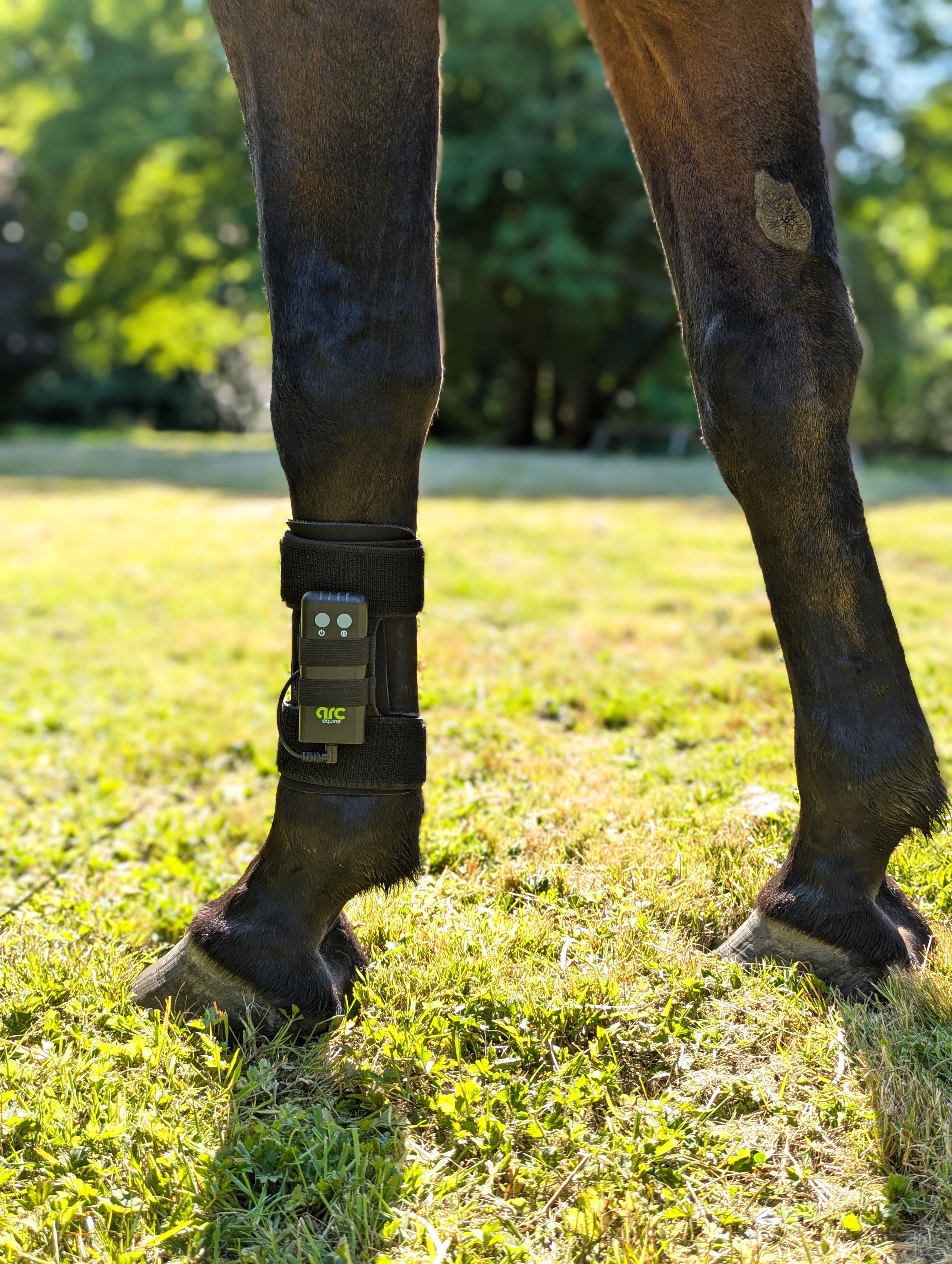 ArcEquine Therapy System Kit - Equiluxe Tack