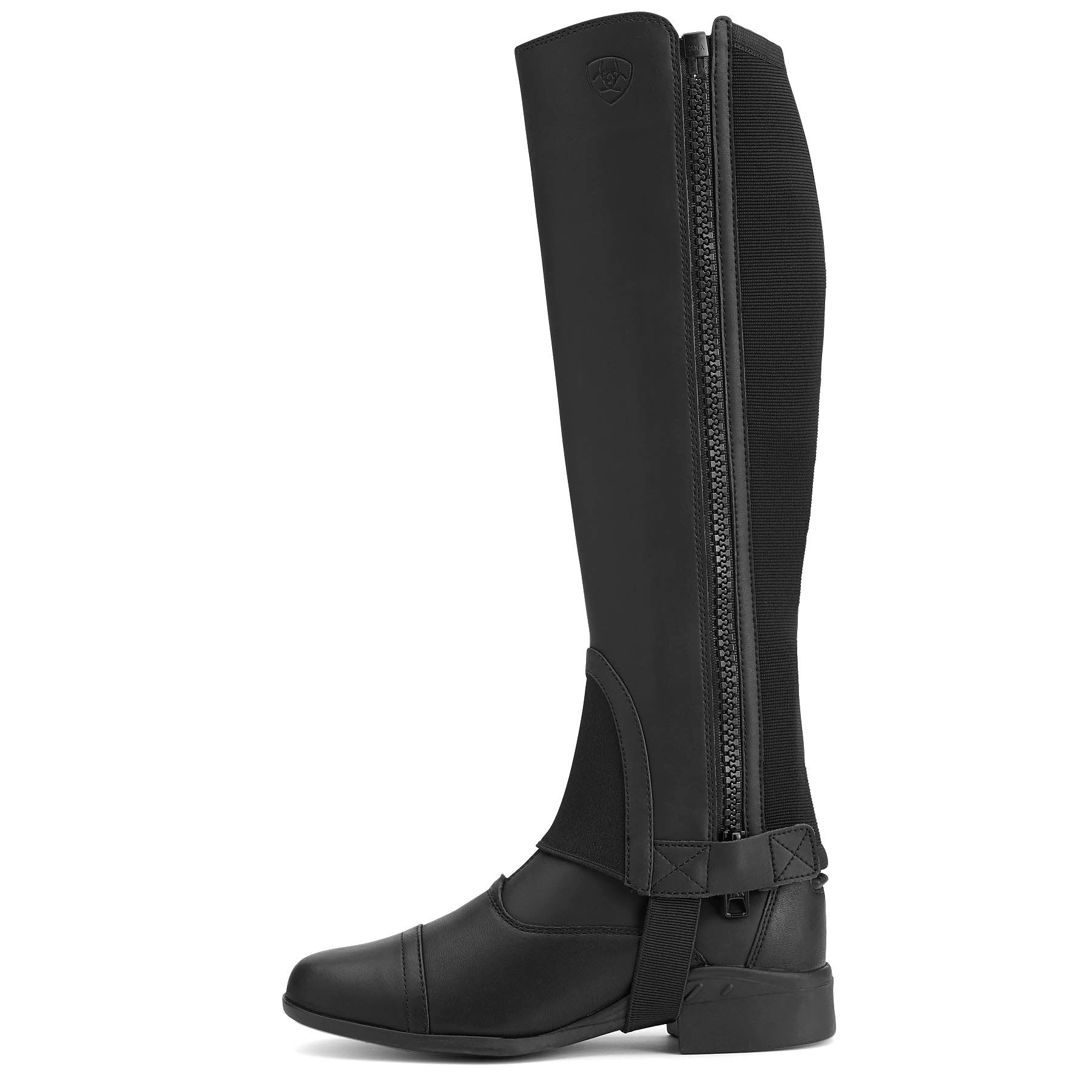 Ariat Scout Half Chap, Adult, Black - Ariat - Equiluxe Tack