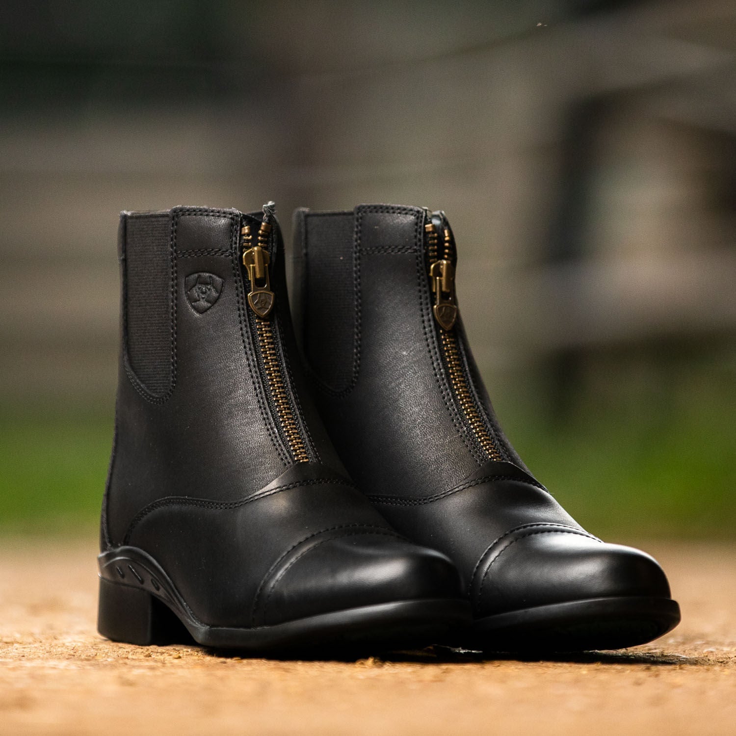 Ariat Scout Zip Paddock Boot, Adult, Black - Ariat - Equiluxe Tack