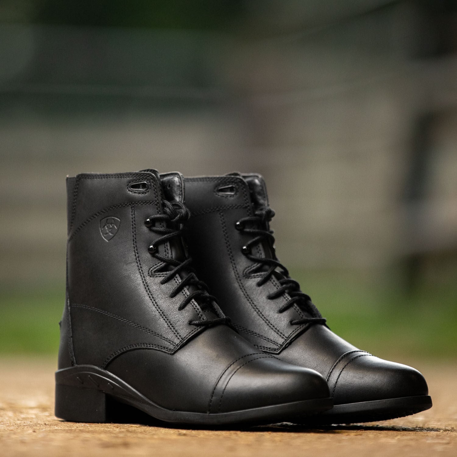 Ariat Women's Scout Paddock Boot, Black - Ariat - Equiluxe Tack