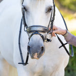 Artemis Black Leather Snaffle Bridle - Halter Ego® - Equiluxe Tack