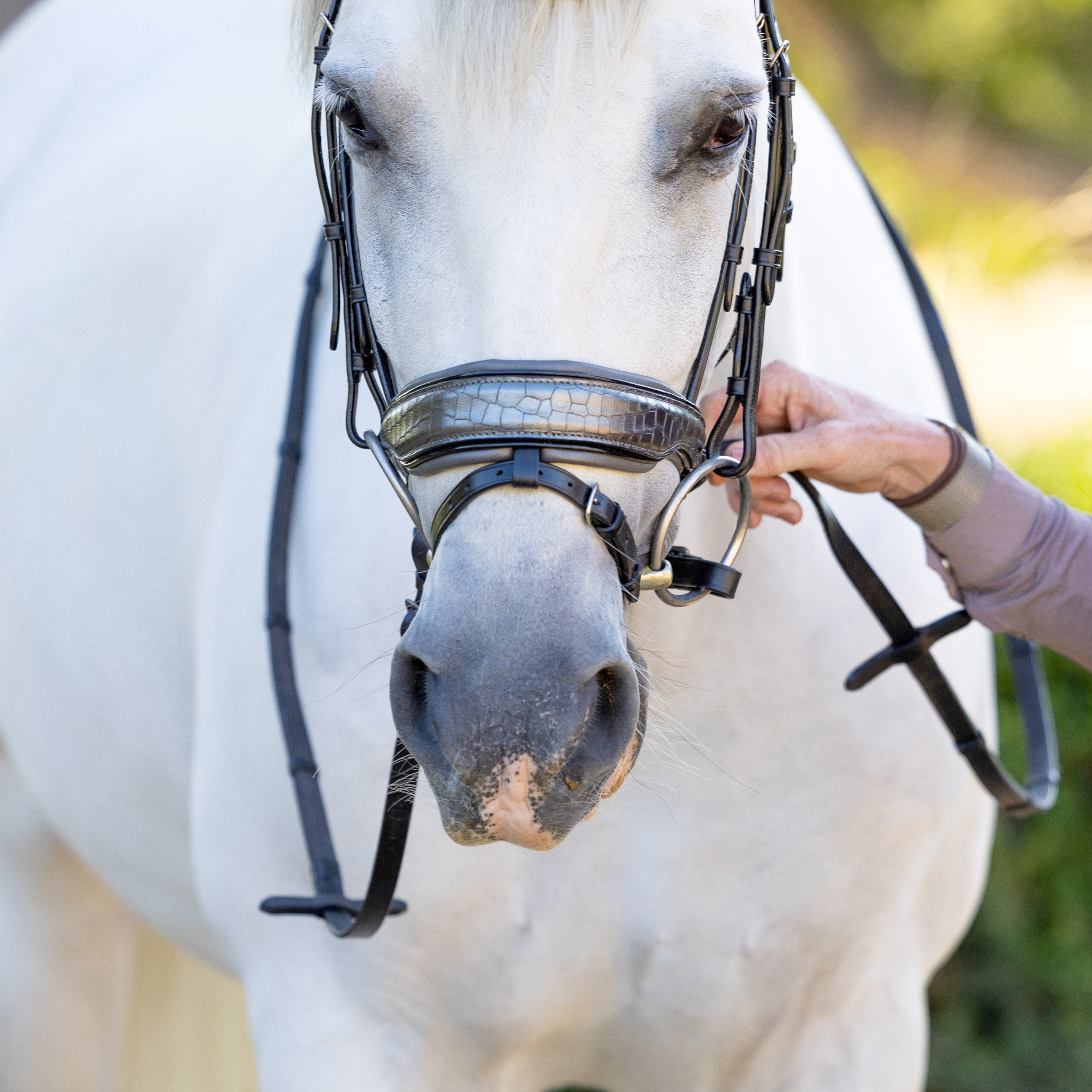 Artemis Black Leather Snaffle Bridle - Halter Ego® - Equiluxe Tack