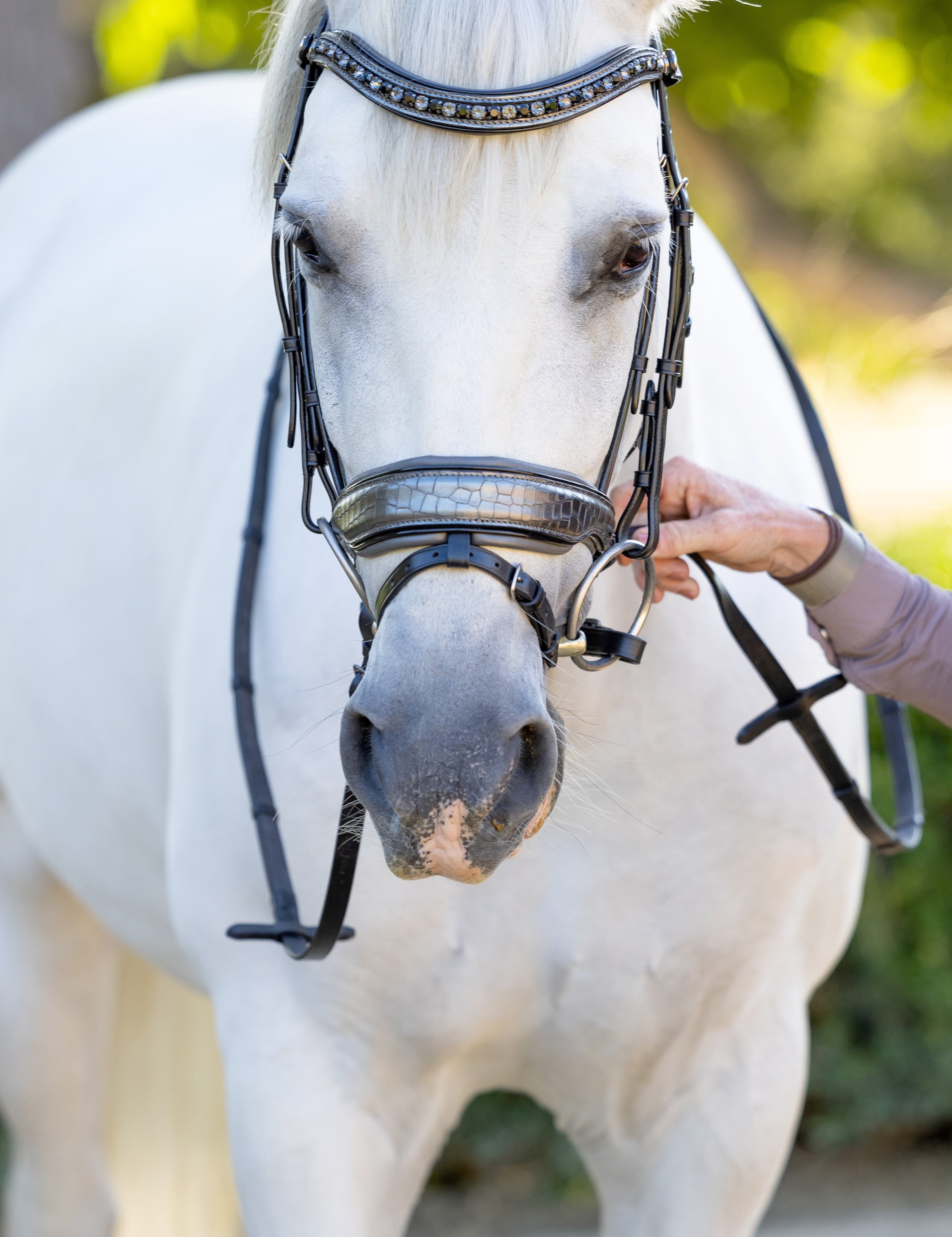 Artemis Black Leather Snaffle Bridle - Halter Ego® - Equiluxe Tack