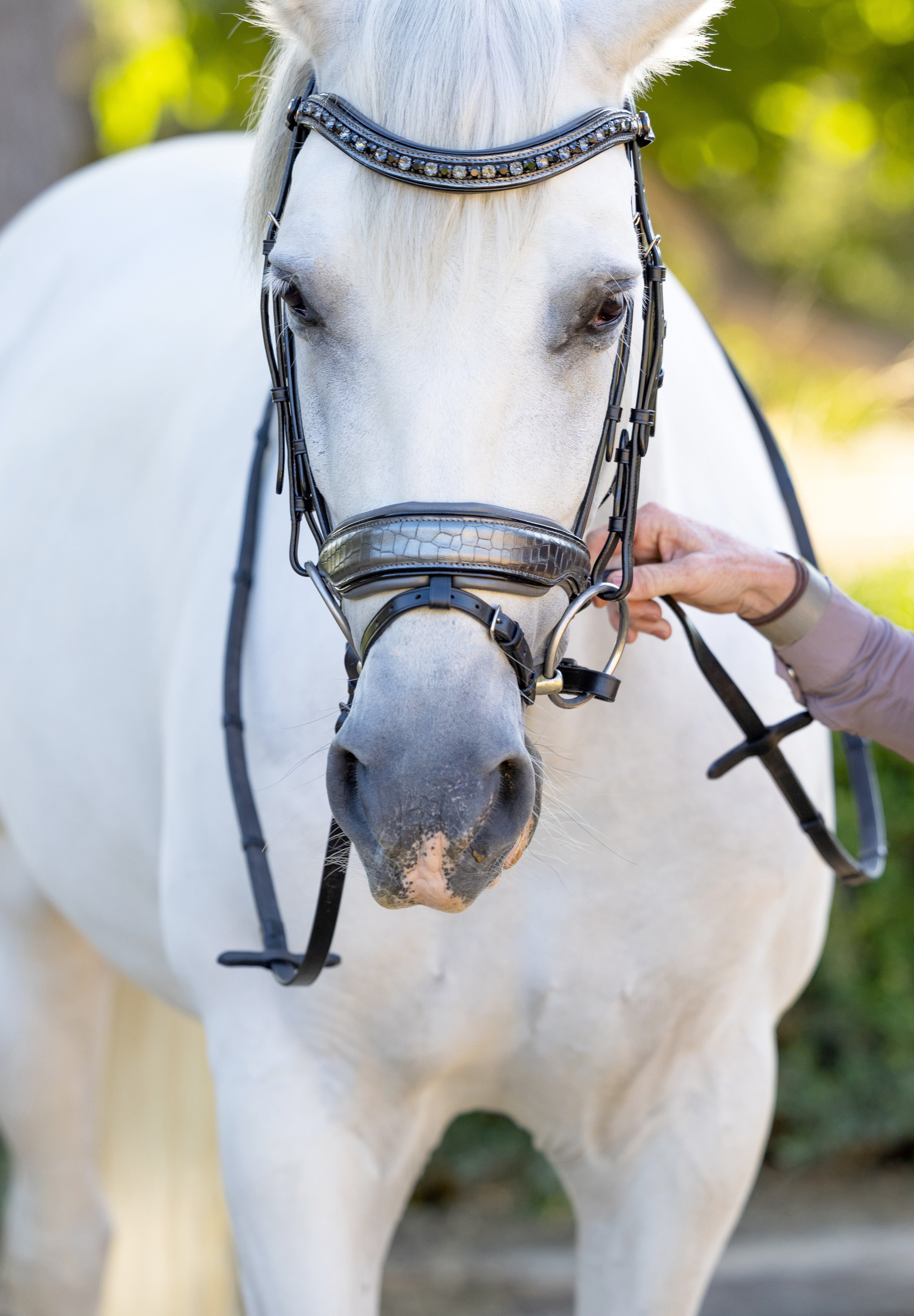 Artemis Black Leather Snaffle Bridle - Halter Ego® - Equiluxe Tack