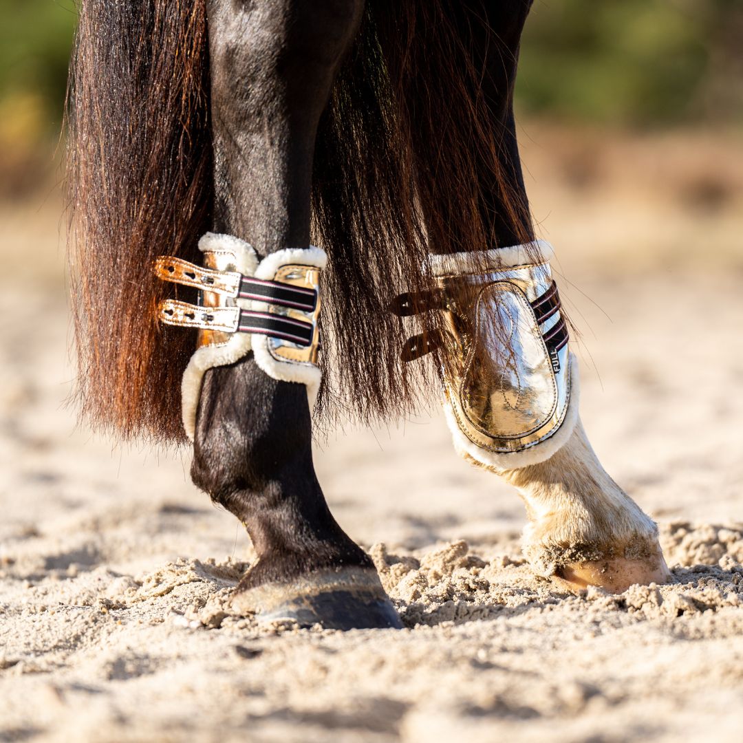 Aurum Saddle Pad Set - Equestroom - Equiluxe Tack