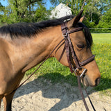 Belle & Bow Chambon - BelleandBow - Equiluxe Tack