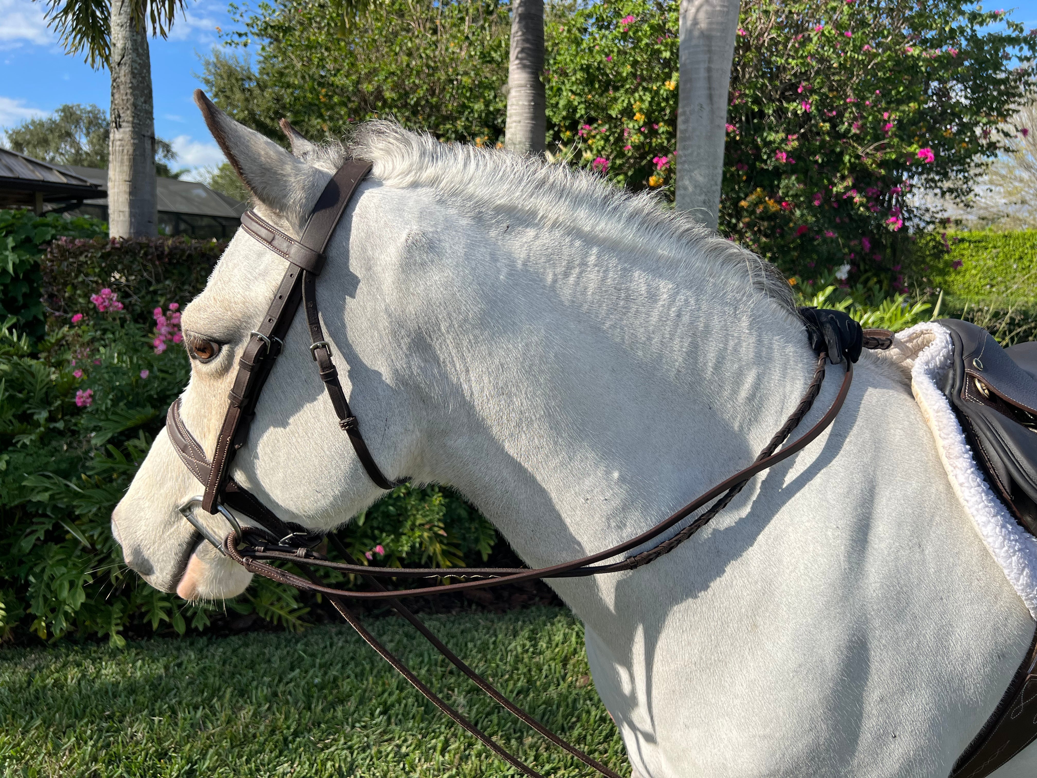 Belle & Bow Draw Reins - BelleandBow - Equiluxe Tack
