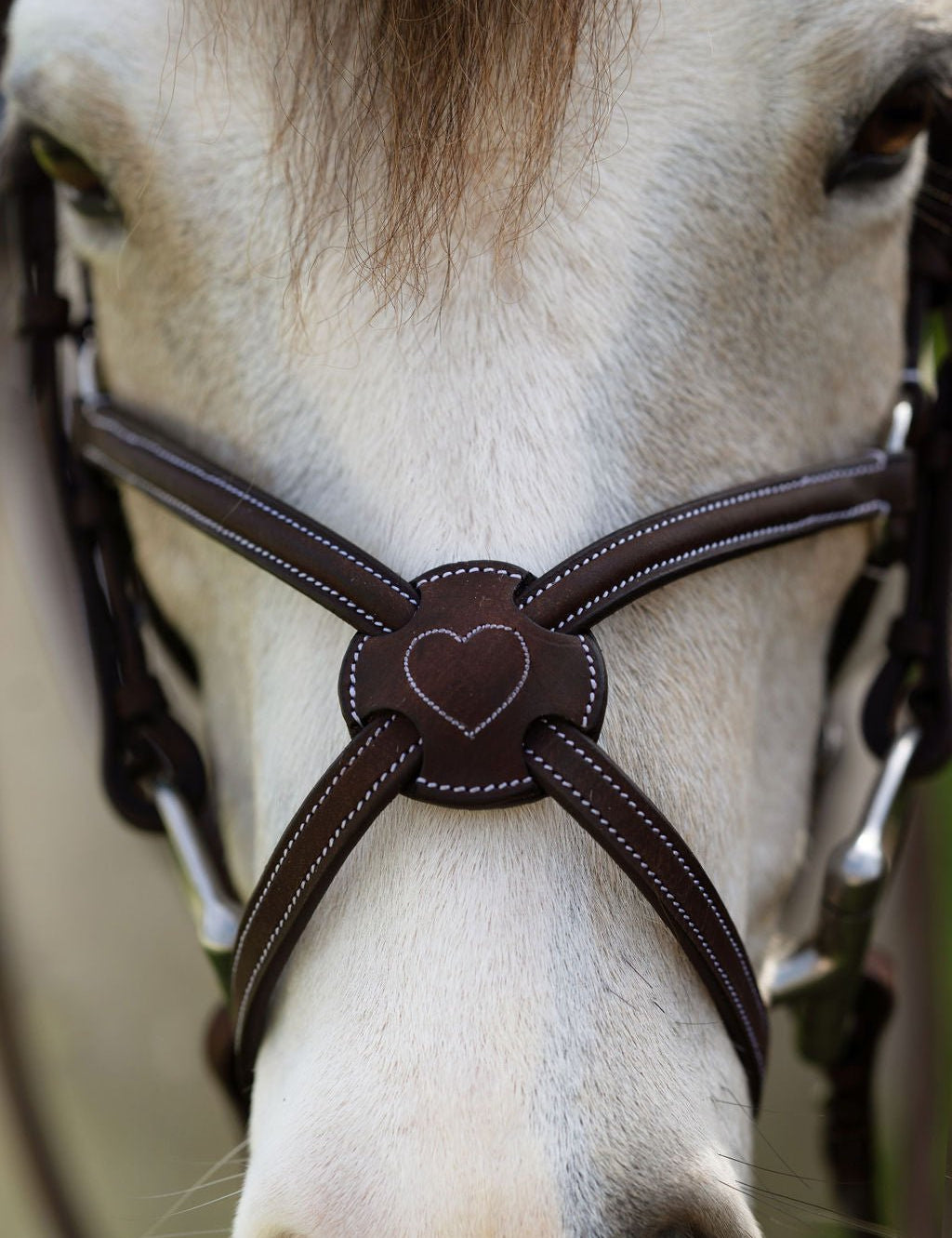 Belle & Bow Figure 8 Pony Sweetheart Noseband - BelleandBow - Equiluxe Tack