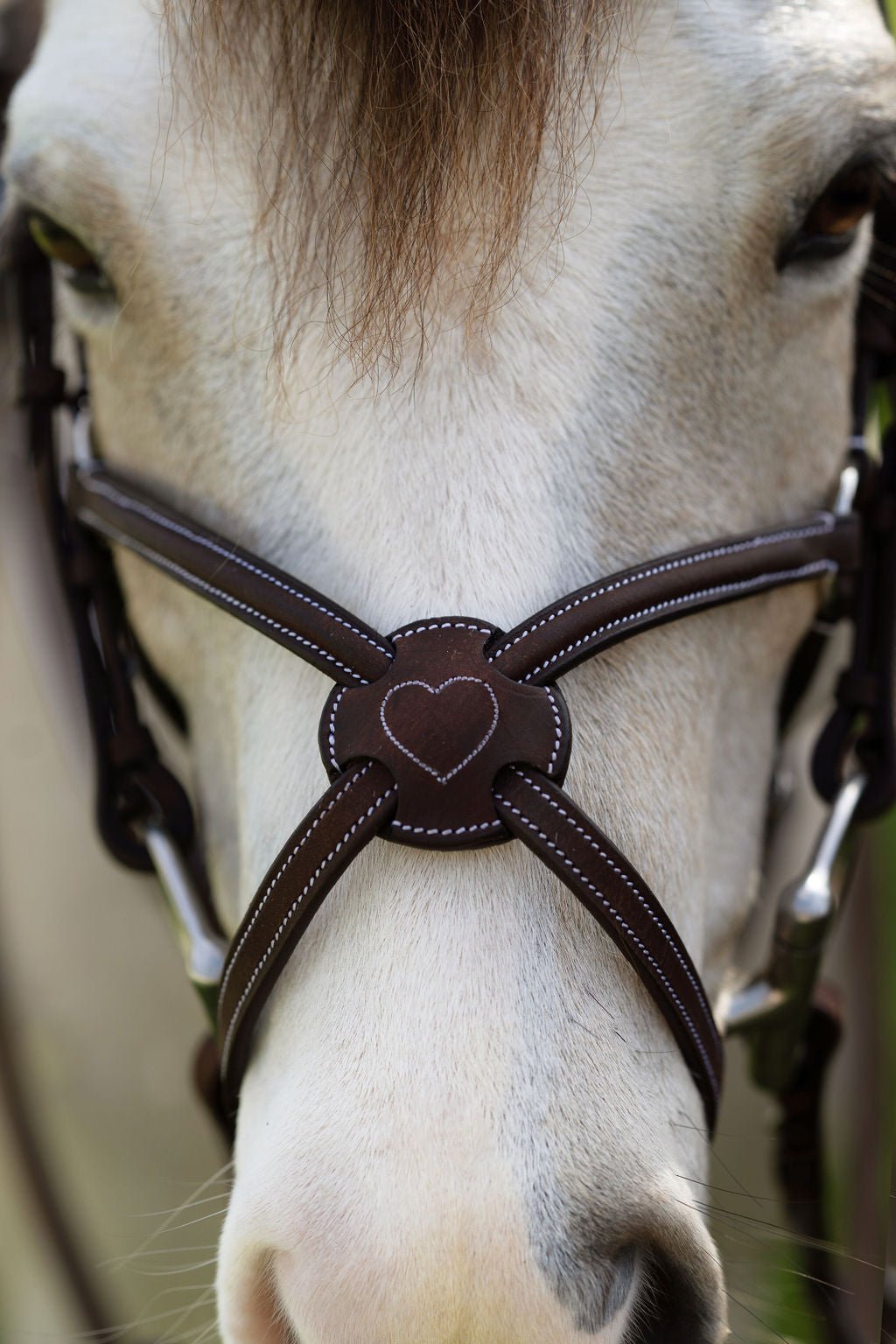 Belle & Bow Figure 8 Pony Sweetheart Noseband - BelleandBow - Equiluxe Tack