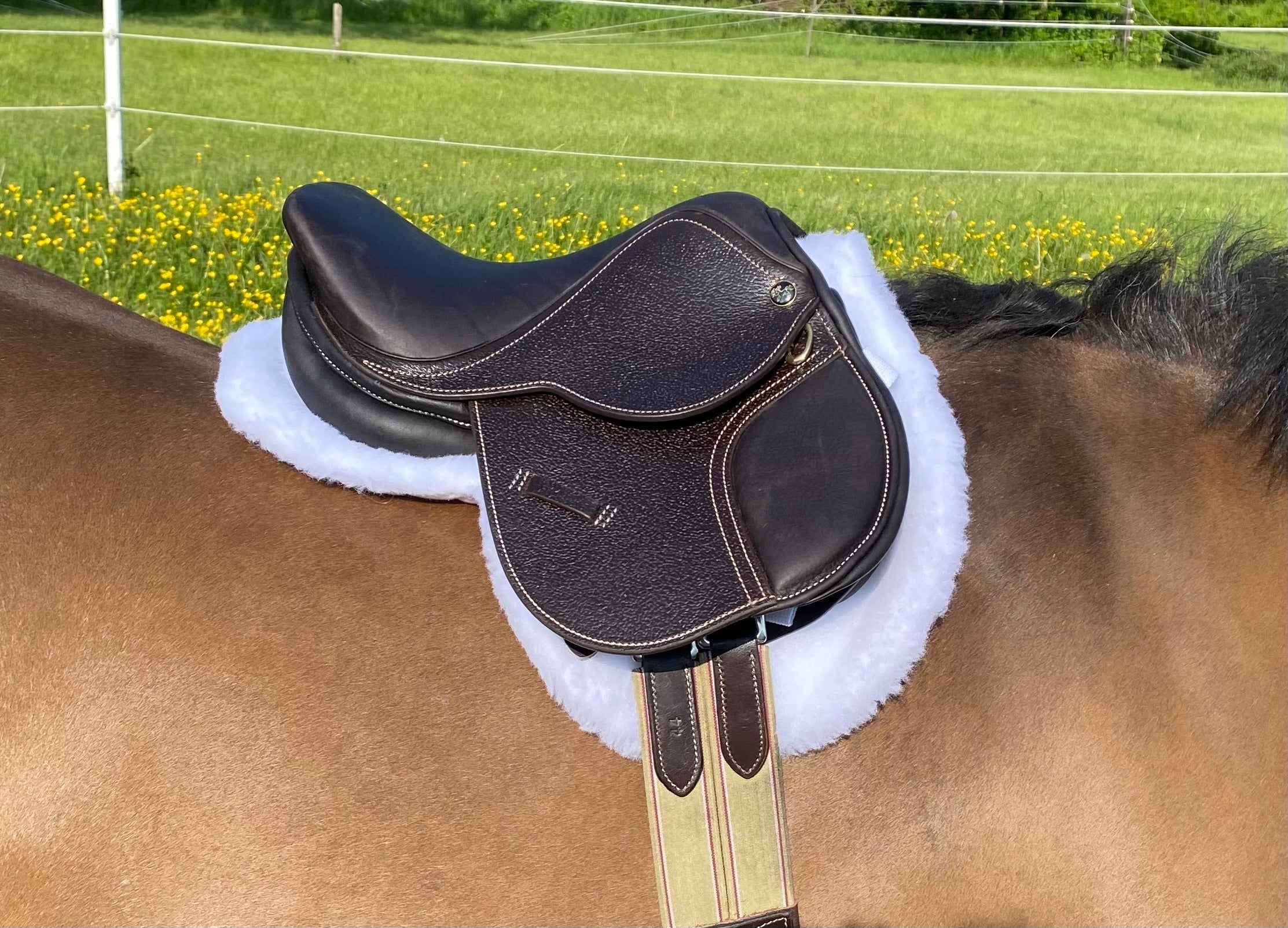 Belle & Bow Fitted Show Saddle Pad - BelleandBow - Equiluxe Tack