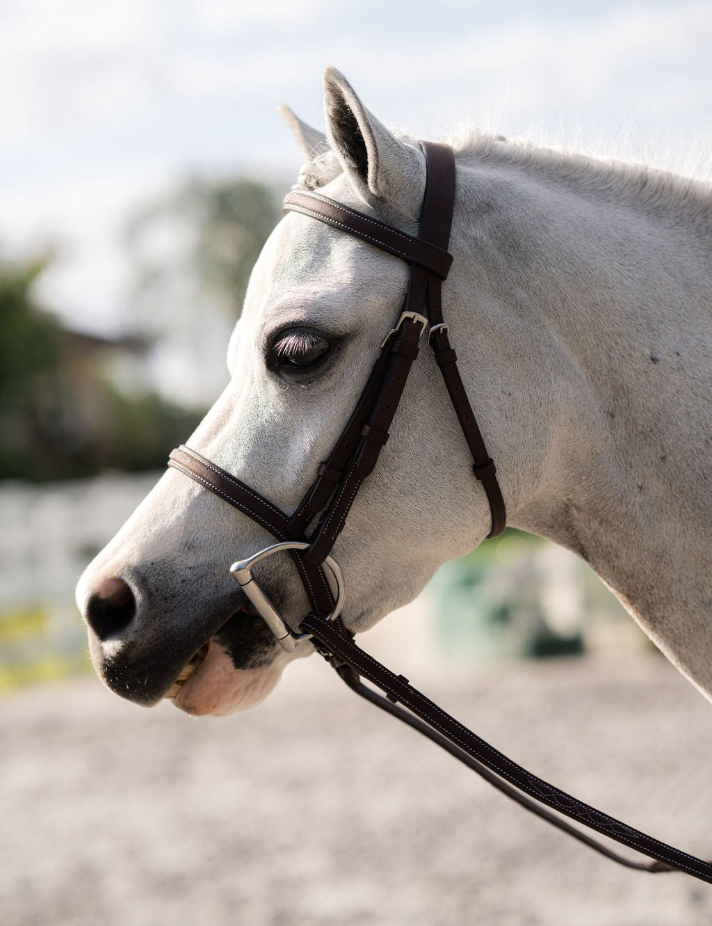 Belle & Bow Leather Pony Farnley Bridle - BelleandBow - Equiluxe Tack