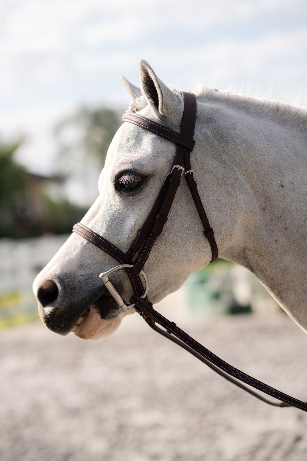 Belle & Bow Leather Pony Farnley Bridle - BelleandBow - Equiluxe Tack