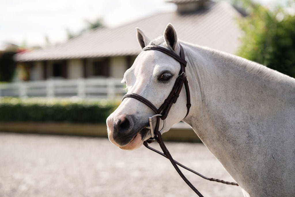 Belle & Bow Leather Pony Farnley Bridle - BelleandBow - Equiluxe Tack