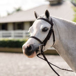 Belle & Bow Leather Pony Farnley Bridle - BelleandBow - Equiluxe Tack