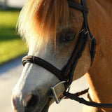 Belle & Bow Leather Pony Glenmore Bridle - BelleandBow - Equiluxe Tack