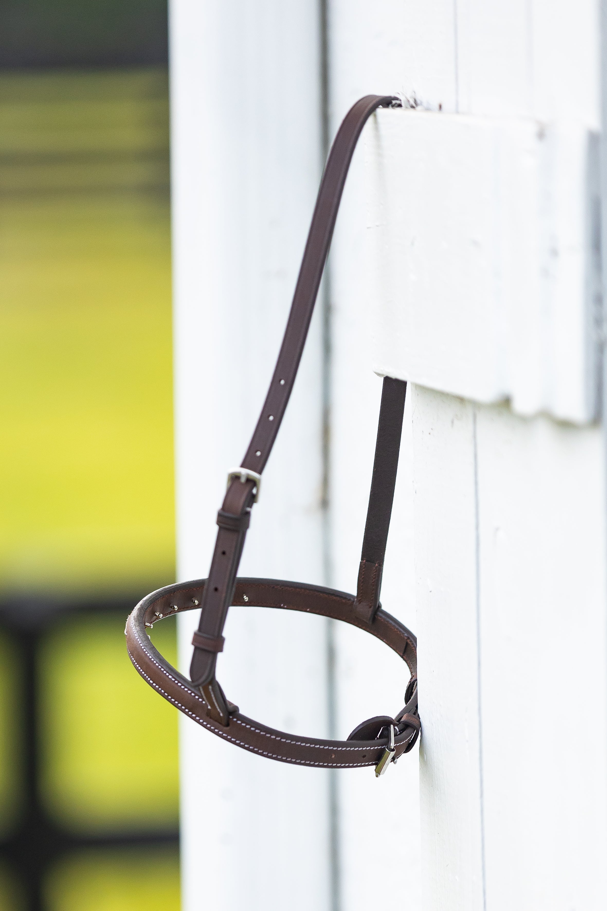 Belle & Bow Leather Pony Noseband - BelleandBow - Equiluxe Tack